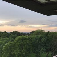 Julie Betten's profile image