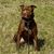 Jeff Morin's profile image