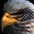 John P. Meagher's profile image