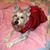 Andrea Sasso Britton's profile image