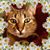 Mary Holloman's profile image