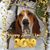 Ron Zoulek's profile image
