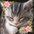 Sandy Williams's profile image