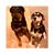 Debbie d'Aquin's profile image