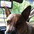 Dave Schroeder's profile image