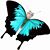 John Everson's profile image