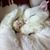 Rachel Kinsey's profile image