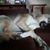 Kimberly Ulick's profile image