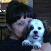 Utana Potter's profile image