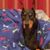 Sally Andolina's profile image