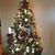 Kathie Dugina Pitini Copenhaver's profile image