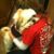Diana Murillo's profile image