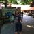 Lisa Donlin's profile image