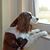 Helmuth Geiser's profile image