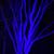 Paula Johnson's profile image