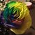 Marcia Ann's profile image
