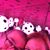 Sue McNeil Sullivan's profile image