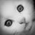 Jennifer Johnson's profile image