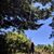 Elise Arete Herzog's profile image