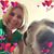 Loraine Bellomo's profile image