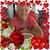 Ona Lee Lockhart Howell's profile image