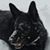 Stacie Reisinger's profile image
