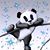Sandy Pesata Greer's profile image