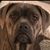 Wayne Ludwig's profile image