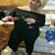 Lakeisha AlluringAquarius's profile image