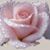 Lanesta Jones's profile image