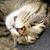 Lori Shiery's profile image