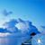 Tina Villari's profile image
