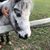 Jeanette Osborn's profile image