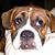 Crystal Pacanowski's profile image