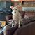 Debra McCary Dailey's profile image