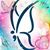 Cindy Miller's profile image
