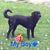 Staci Jo Dawson Overton's profile image