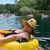 Renee Copley Hall's profile image