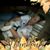 Dee Villarreal's profile image