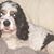 Cretia Hesse's profile image
