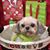 Laura Craig's profile image