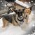 Kimberly Williams Kalkhoven's profile image
