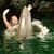 Teri Bayus's profile image