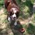 Eileen Berg Quinn's profile image
