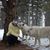 Lisa Kay Petri's profile image