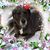Nancy Saharic's profile image