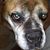 Bob Bentley's profile image
