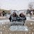 Pam Ullery Cunningham's profile image