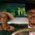 Wendy Hardison's profile image