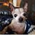 Michelle Kube Kelly's profile image